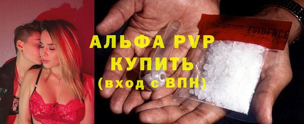 эйфоретик Аркадак