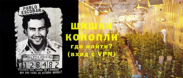 эйфоретик Аркадак