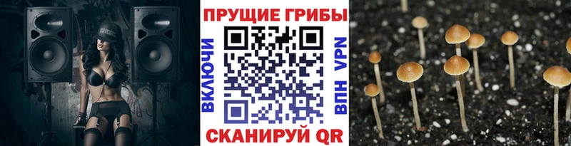 MEGA сайт  Калач  Галлюциногенные грибы Psilocybe 